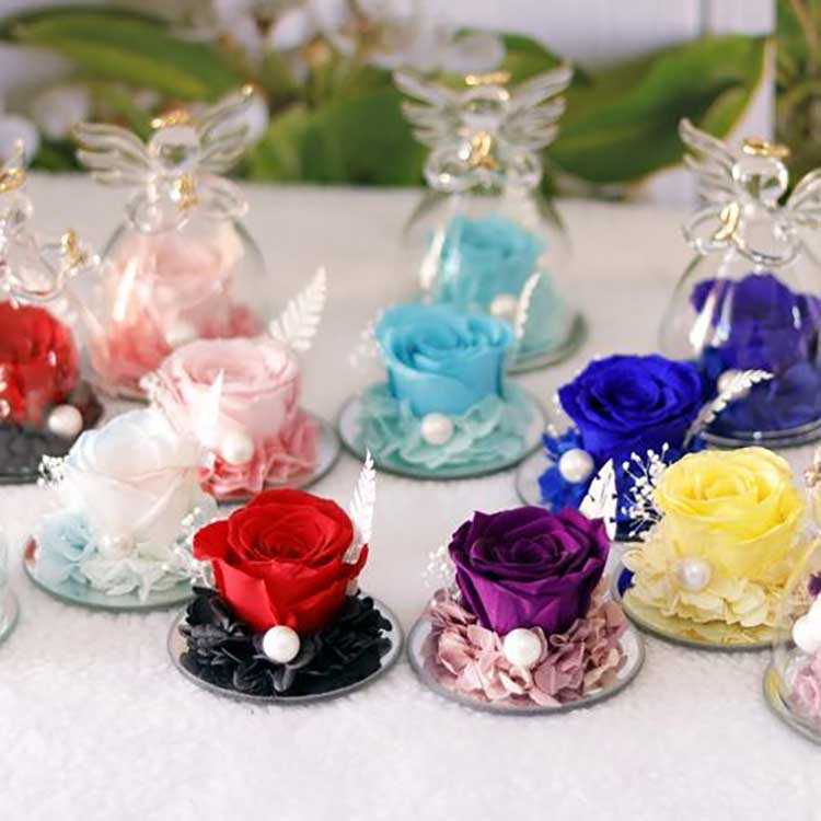 Rosa angelica aeterna