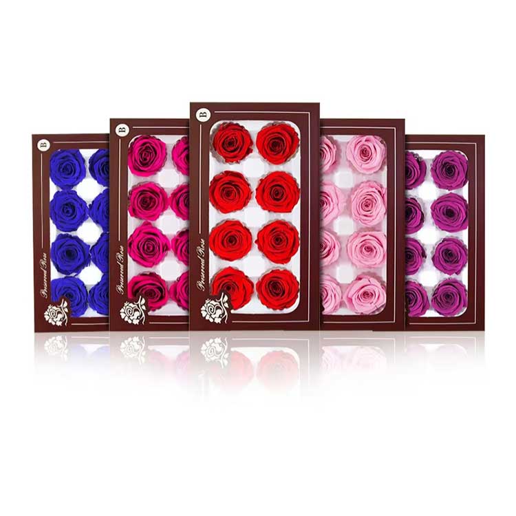 Flos perpetuus 8 florum Rose Gift Box