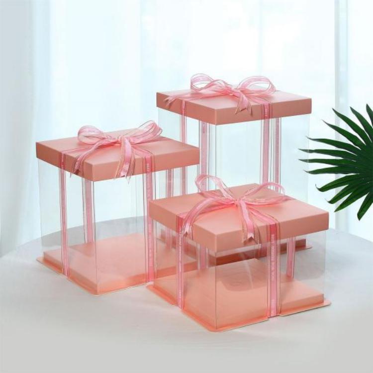 Plastic Rutrum Box