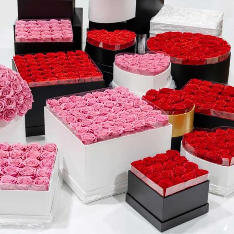 Servavit Flos Situla Hug