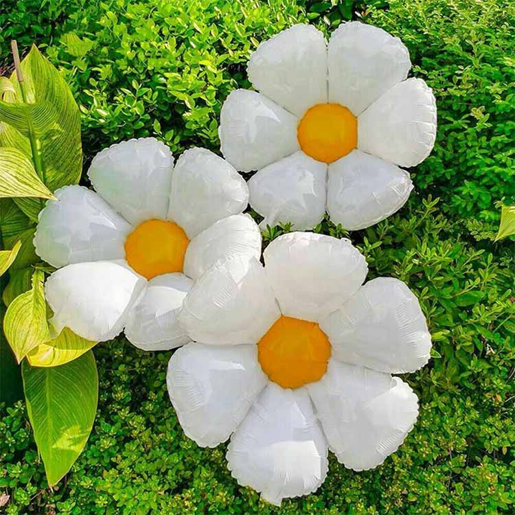 Sex petal Daisy Ffil Balloons